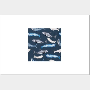 Watercolor Whales Pattern Posters and Art